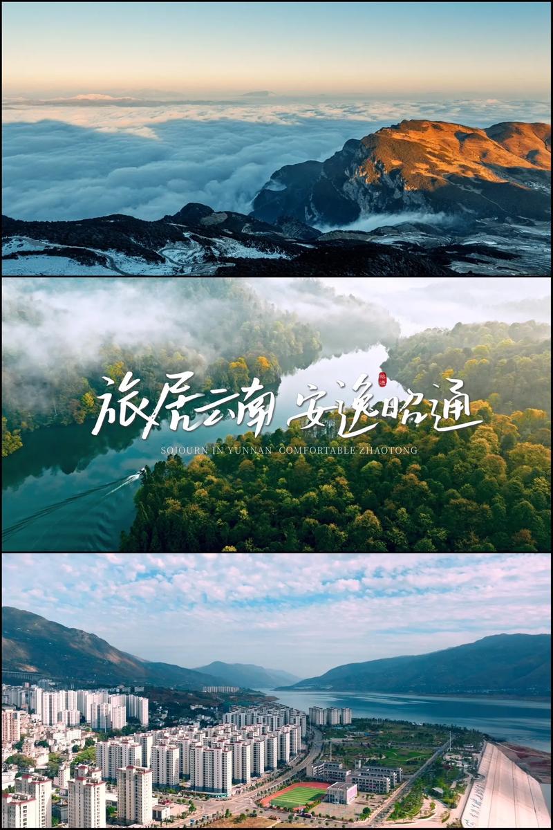 品牌策划公司的新趋势与挑战